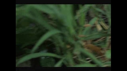 Lost 5x03 Sneak Peak 1
