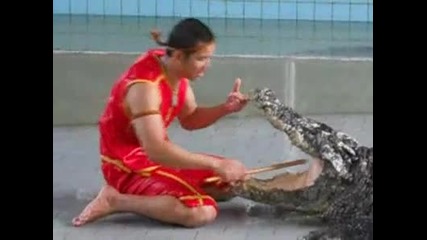 Игра с крокодил