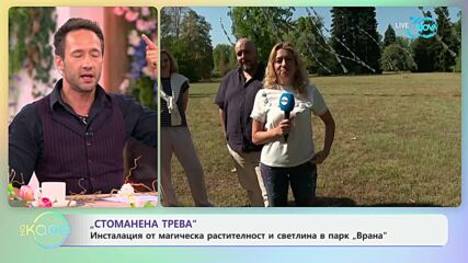„Стоманена трева": Инсталация от магическа растителност в парк „Врана"- „На кафе“ (24.07.2024)
