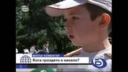 Btv Малък Коментар Кога Гроздето Е Кисело?