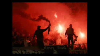 Partizan se Voli