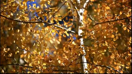 Е С Е Н -наслади се на шума на есенните листа