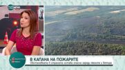 Кои са най-честите човешки грешки, предизвикващи пожари