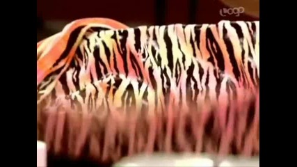 Rupaul's Drag Race S2 E02 part 1