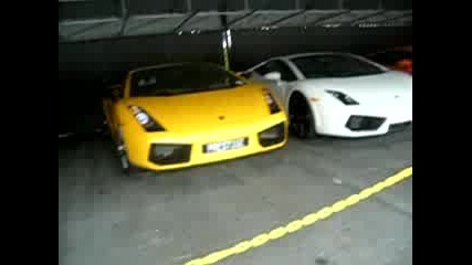 Lamborghini :gallardo, Murcielago, Lp560...