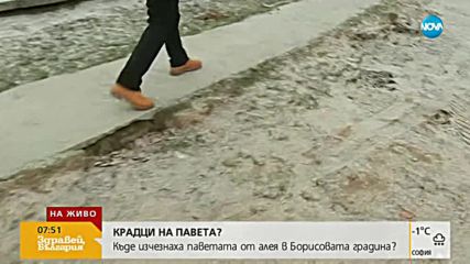 Крадци на павета: Къде изчезнаха паветата от алея в Борисовата градина?