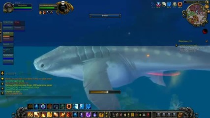 Wow Cataclysm Guide - The Failshark