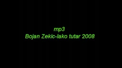 Bojan Zekic - Lako tutar.mp3.novo - 2008 