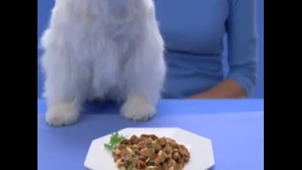 Сладкото куче Цезар :} 2