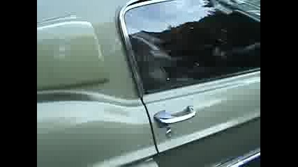 Ford Mustang Shelby Gt - 350 