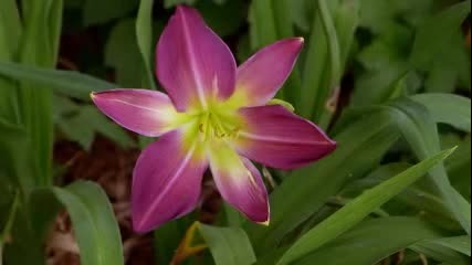 Ernesto Cortazar-there Is Only You - Paradise-another Day