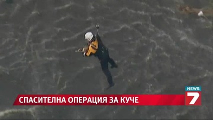 Зрелищна спасителна операция за куче