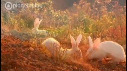 Магда - Улица на самота и грях ( Официално видео ) 2012