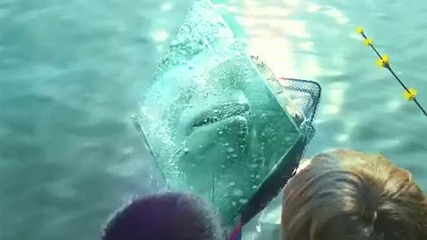 Bbc Ident - The Catch [hd]