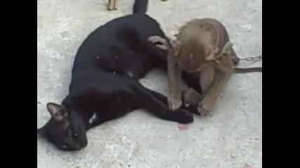 Трябва да те почистя много добре...