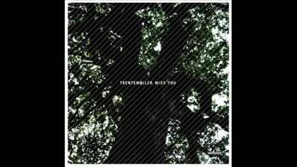 Trentemoller - Miss you (trentemoller remix)