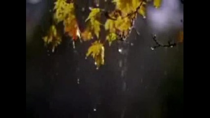 Bill - Feeling - Moments