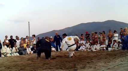 Real Aikido- 2012