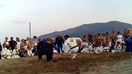 Real Aikido- 2012
