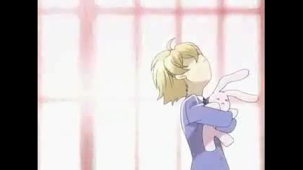 Host Club - Sugar Sugar Amv 