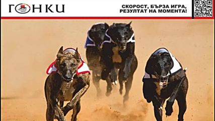 „Почувствай тръпката“ с кучешките гонки на Еврофутбол