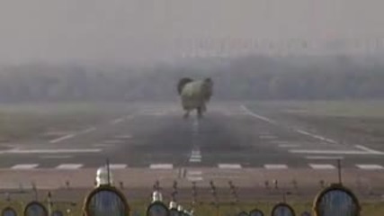 Истински летящ слон се приземява на писта 