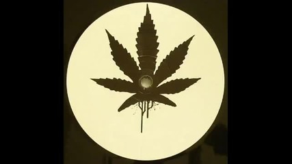 Alborosie - herbalist dubstep remix 