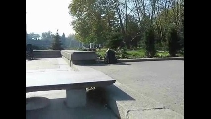 Мани Скеитара