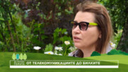 Да хванеш гората | От телекомуникациите до билките в село Гълъбовци | 12 юли 2026