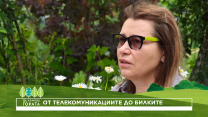 Да хванеш гората | От телекомуникациите до билките в село Гълъбовци | 12 юли 2026