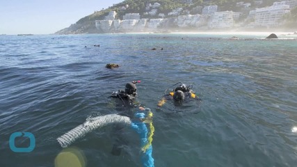 Slaves Who Died in Shipwreck Remembered