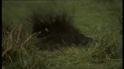 Sparkhouse (2002) част 2, английски субтитри