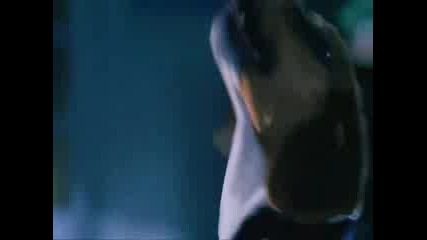 Gangztah Fight