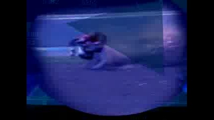 Racing Crashes.mpeg