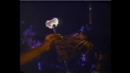 Dark night of the scarecrow