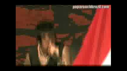 Papa Roach - Forever : Graspop 2009 