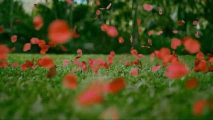 Полюби Меня Такой~какая Я Есть