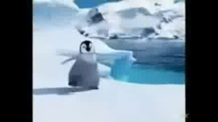 Gangster penguin