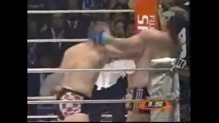 Mirko Crocop Highlights