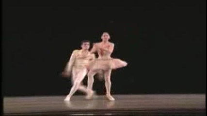  Ballet Videos 
