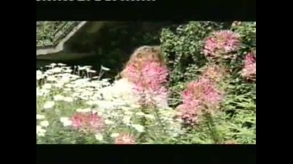 Sandra Weiss - Ich suche nicht das paradies 