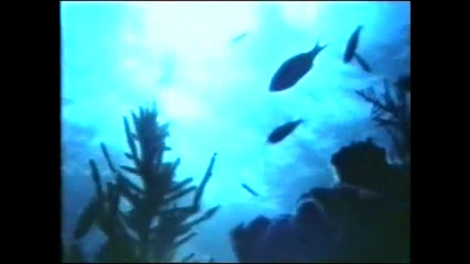 Blue System - Love Suite