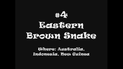 Top 10 Най - отровните змий на света!!!