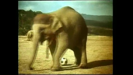 Слонът, моят приятел - 1 част (haathi mere saathi 1971)