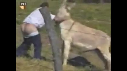 Смешна компилация от забавни моменти ! Смях !
