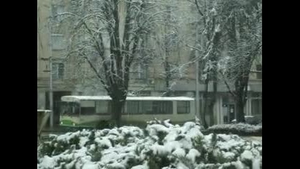 Тролейбусен Транспорт Плевен 