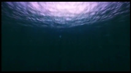 Enrique Iglesias - Rhythm Divine