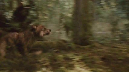 strahoten tv spot novolunie 