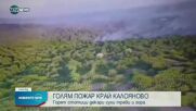 Горят стотици декари гора и сухи треви в Пловдивско