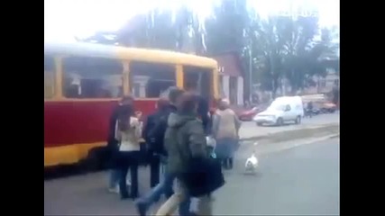Смях-гъска се качва на трамвай